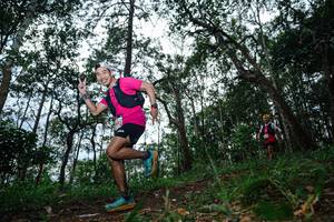 BIB: 
                            <button type="button" onclick="openModal(22569570)" class="btn btn-primary btn-sm float-right btn-popup" data-toggle="modal" data-target=".modal-high-quality">
                        <i class="fas fa-shopping-cart"></i> Add to Cart
                    </button>
                                            <button type="button" onclick="isThisMe(22569570, true)" class="btn btn-success btn-sm float-right btn-popup btn-isme hidden" data-toggle="tooltip" data-placement="bottom" title="นี่คือรูปของคุณใช่ไหม คลิกที่นี่เพื่อเอาเข้าอัลบั้ม">
                        <i class="fas fa-plus"></i> Add to album
                    </button>
                    <button type="button" onclick="isThisMe(22569570, false)" class="btn btn-warning btn-sm float-right btn-popup btn-isnotme hidden">
                        <i class="fas fa-ban"></i> Remove from album
                    </button>